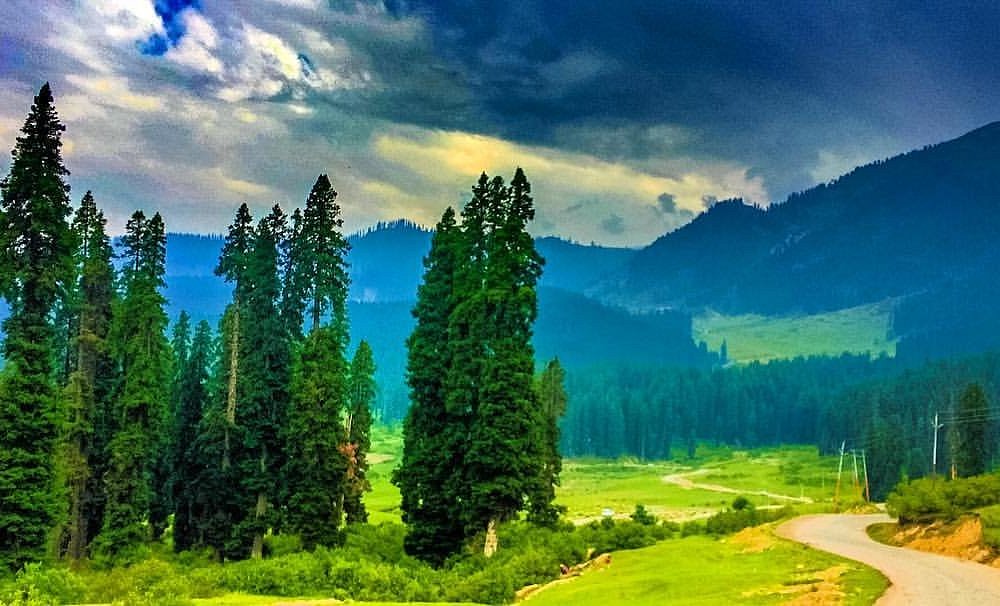 Dal Lake