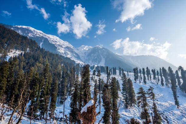Gulmarg