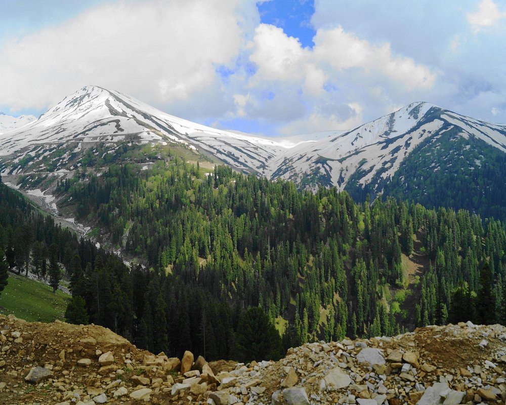 Thajwas Glacier